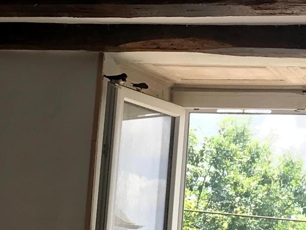 Chassigny Chez Zoiseau Et Zoiseautte Bed & Breakfast エクステリア 写真