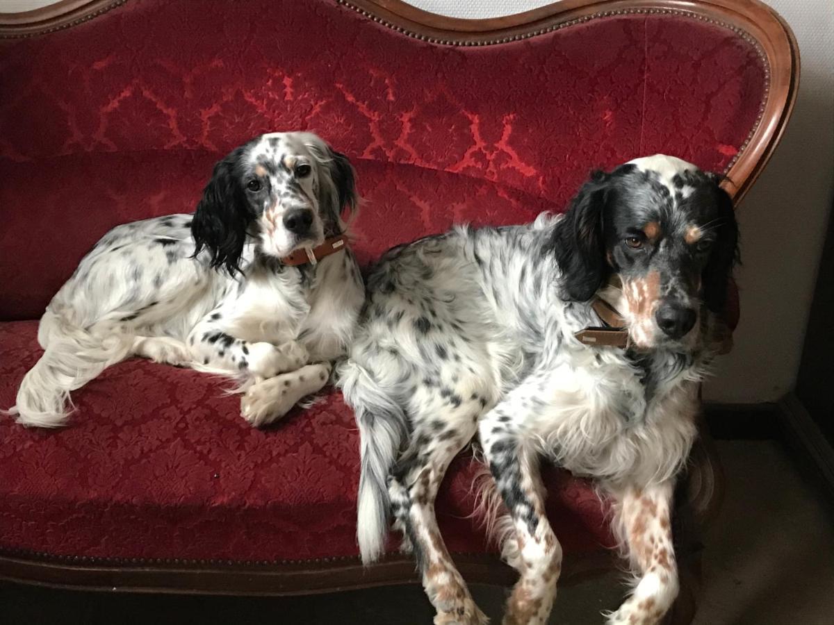 Chassigny Chez Zoiseau Et Zoiseautte Bed & Breakfast エクステリア 写真